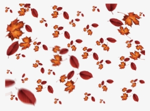 Falling Leaves Autumn Texture Overlay - Lizzka