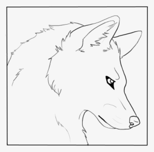 Wolf Head Line Drawing At Getdrawings Com - Wolf Head Coloring Page