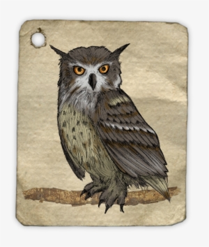 Owl, Painting, Watercolor, Animal, Tag, Label, Drawing - Gambar Lukisan Burung Hantu