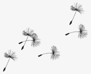 Dandelion Png Pixels Painting Pinterest Dandelionpng - Clip Art Dandelion Seeds