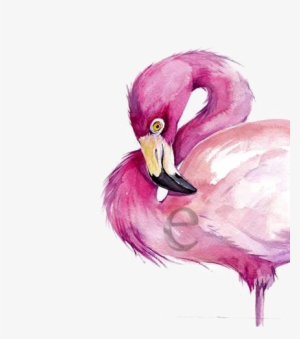 Watercolor Painting Flamingo Drawing - Watercolor Flamingo Drawing Png