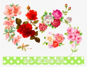 Flowers Png Background Image