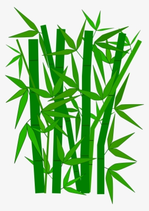 How To Set Use Bamboo Clipart