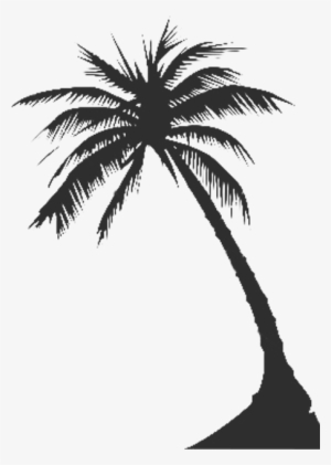 Palm Tree Graphic - Palm Tree Silhouette