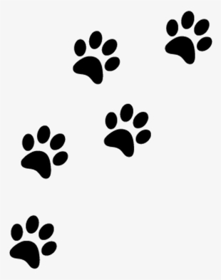 Cat Paw Prints - Paw Prints Transparent Background