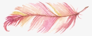 Watercolor Painting Logo Feathers - Pink Feather Png
