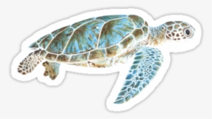 Sea Turtle Underwater Sticker By Savousepate On Redbubble - Sea Turtle Samsung Galaxy S5 Slim Case
