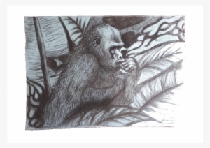 Picture With Charcoal Gorilla - Painting