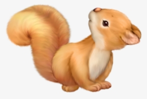 Squirrel Free Clip Art Pinterest - Cute Squirrel Png