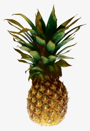 Pineapple Png Image, Free Download - Clip Art Pineapple Transparent Background