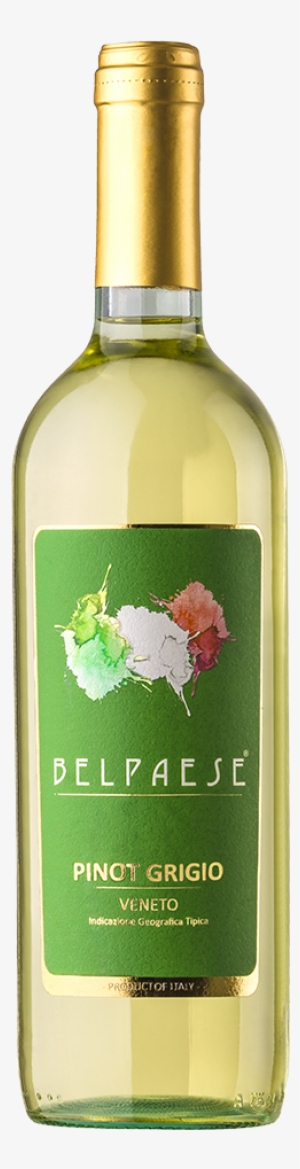 Ora Wine / Pinot Grigio Igt - Wine