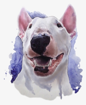 Bull Terrier, Watercolor - Bull Terrier Watercolor