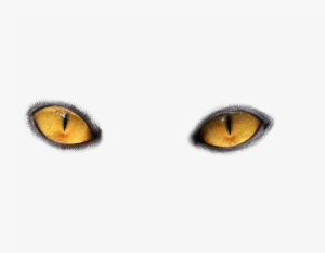 Eyes Png Image - Cat Eyes Clip Art