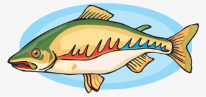 Crinkleroot's 25 Fish Every Child Should Know - Animation