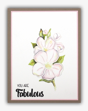 Dogwood Watercolor Card By Understand Blue - Lily