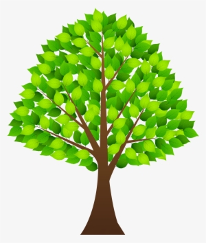 28 Collection Of Plant Leaf Clipart Png High Quality - Tree Clipart Transparent Background