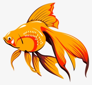 Clip Art Golden Vector Online Royalty Free - Cafepress Goldfish Queen Duvet