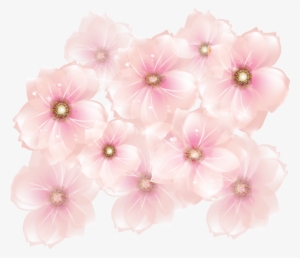 Pink Flowers Transparent Background