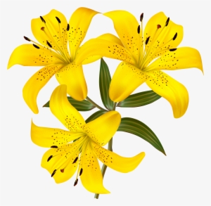 Tiger Lily Clipart At Getdrawings - Yellow Lily Flower Clipart