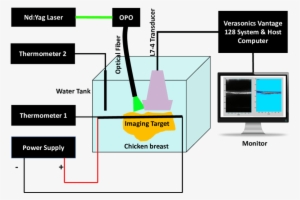 The Imaging Target Is Placed Inside The Chicken Breast - Photoacoustic Imaging