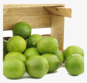 Fresh Juicy Limes - Lime