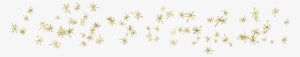 Twitter - Motif