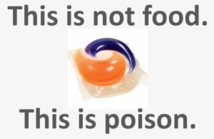 The Human Brain Is The Crowning Achievement Of Evolution, - Do Not Eat Tide Pods