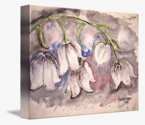 Go To Image - Gallery-wrapped Canvas Art Print 15 X 11 Entitled Lily