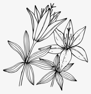 This Free Icons Png Design Of Wood Lily