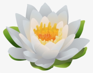 Water Lily Png Clip Art Image - Sacred Lotus