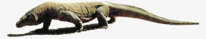 Banner Library Download Cebu Zoo - Transparent Komodo Dragon Png
