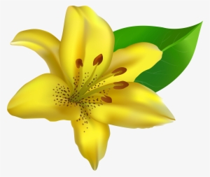 Lilies Clipart Yellow Bell - Yellow Lily Clip Art