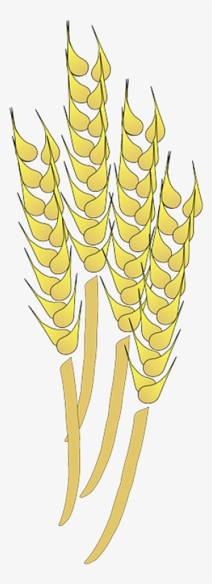 Grain, Flat, Icon, Cartoon, Crop, Free, Ear, Plant - Wheat Clip Art