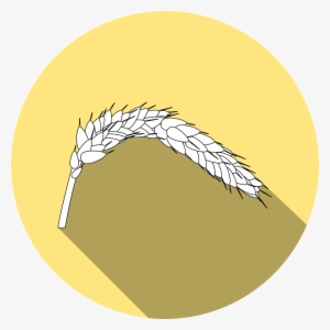 Wheat, Icon - Celiac Disease