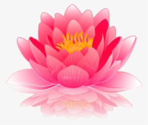Pink Water Lily Png Clip Art Image Gallery Yopriceville