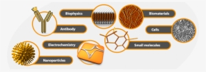 Biosensor Development