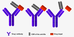 Elisa Assays Development - Anti Drug Antibody