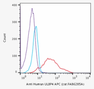 Flow Cytometry Human Ulbp 4/raet1e Apc Conjugated Antibody - Raet1e