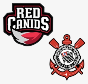 Next - Red Canids