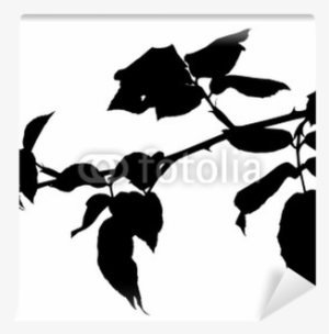 Vector Of A Tree Branch Silhouette Wall Mural - Tree Branch Silhouette