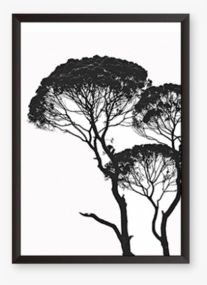 Tree - Pretty Black And White Art