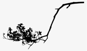 Tree Branch Silhouette Png - Portable Network Graphics