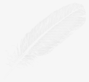 Free Png Feather Png Images Transparent - Literary Criticism By Charles E. Bressler
