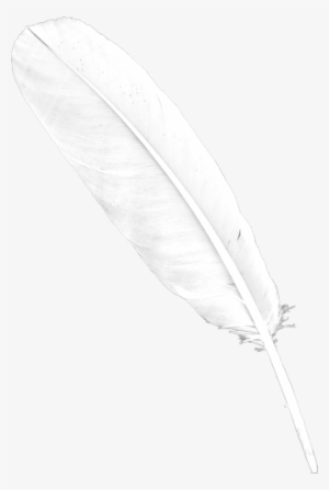 Feather Pngwhite Feather Png - Transparent Background White Feather