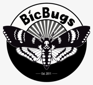shop all products - bug font