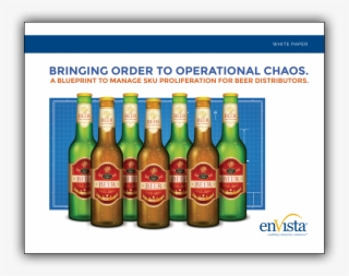 Download Our White Paper - Envista