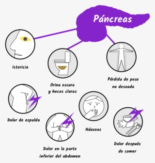 Full - Dolor De Pancreas