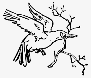 https://simg.nicepng.com/png/small/1006-10062765_outline-carrying-a-branch-clip-art-pajaro-con.png