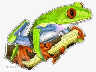Red Eyed Tree Frog Clipart Animated - Frog