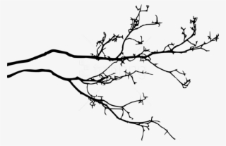 Tree Branch Png - Tree Branch With Leaves Silhouette Png